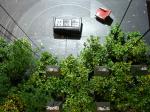 thumb_dsc00203