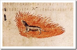 Salamander_Wiener_Dioskurides_thumb.jpg