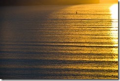 320px-Easterly_swell_Lyttelton_Harbour_29_July_2008_thumb.jpg
