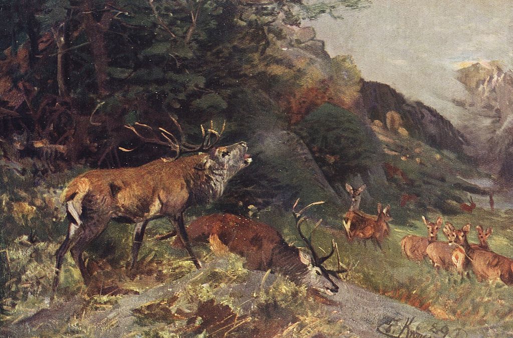 1024px-Hirschkampf_1876