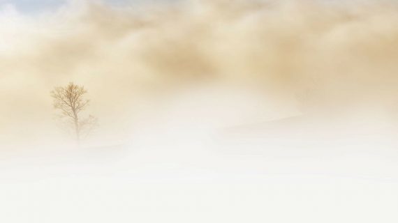 Nebel im Magazin Nebel im Magazin